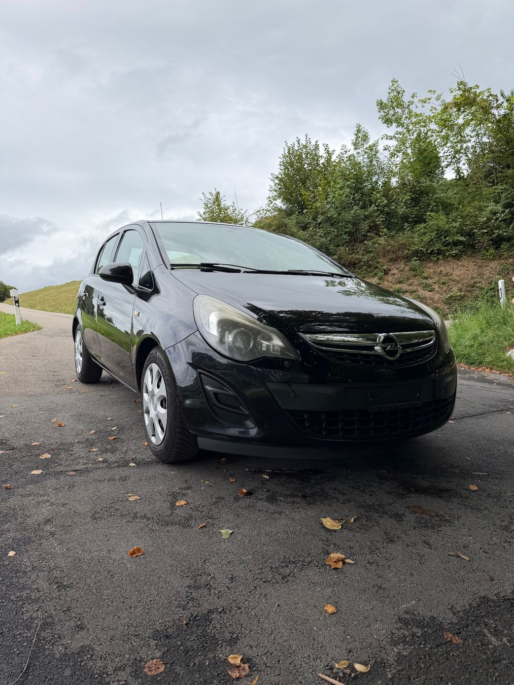Opel Autos: Opel Corsa D 1.4 eco – D'occasion à Ulisbach par sc.performance