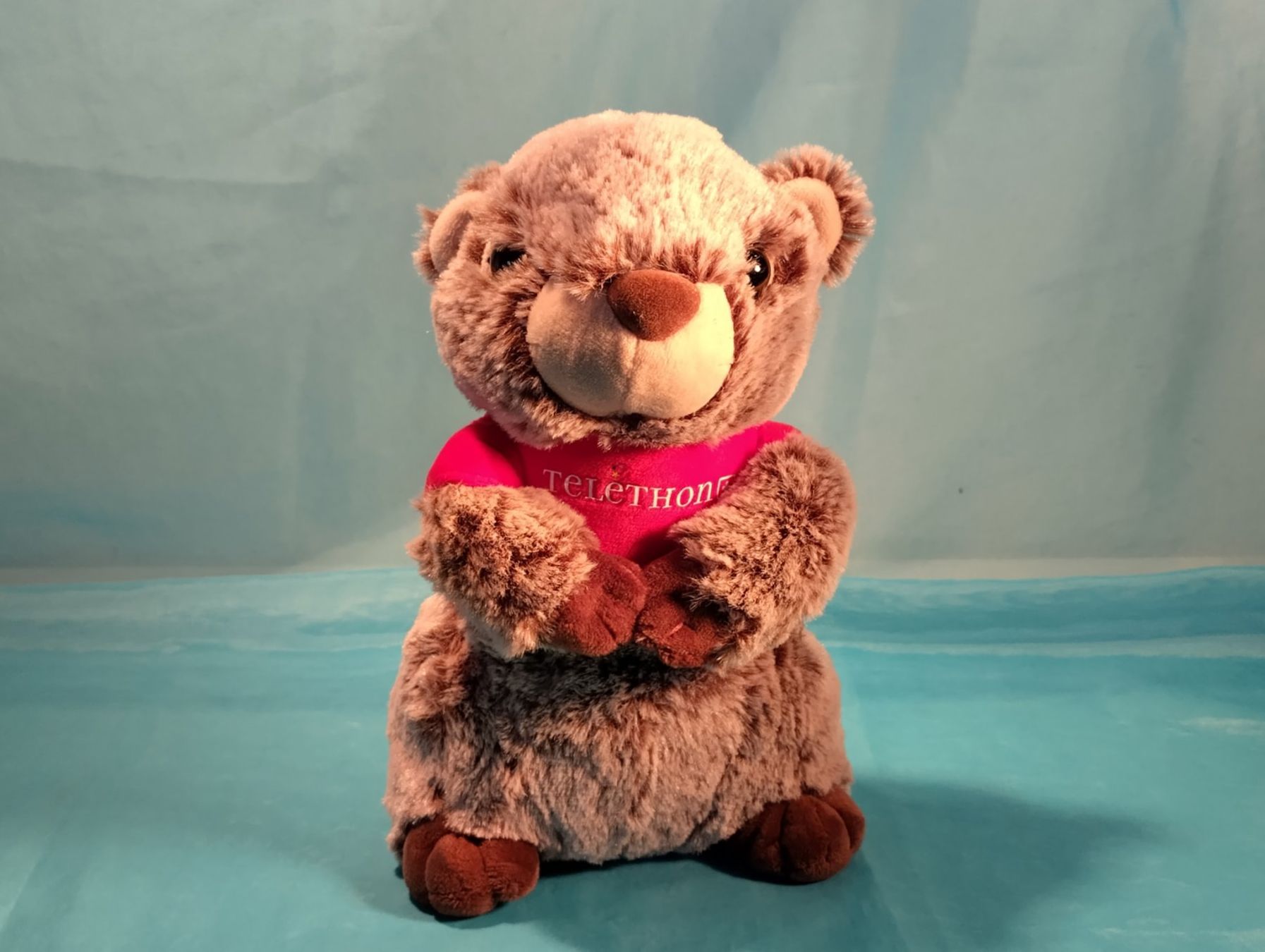 Giocattoli: Murmeltier, Thelethon, L: 25cm – Nuovo (secondo la descrizione) da Bellach venduto da JingleCherry