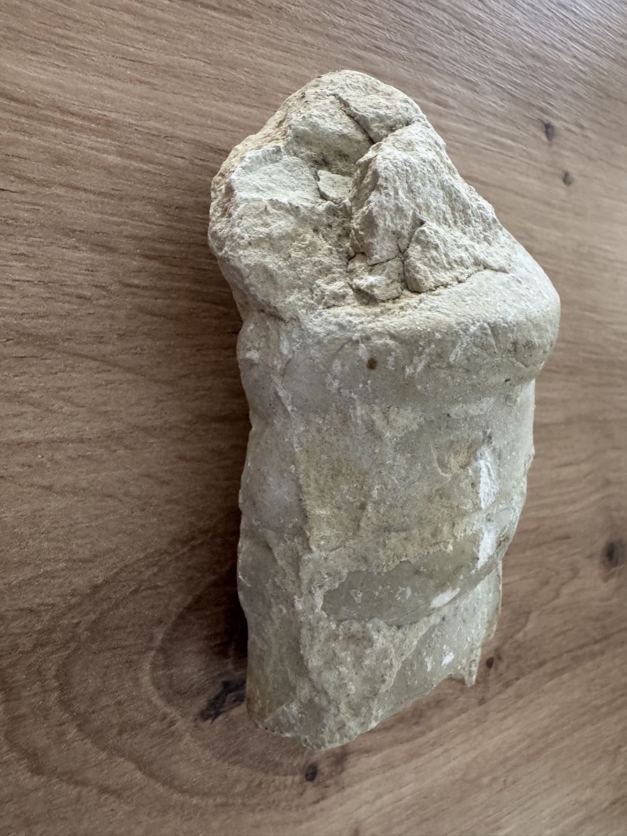 Fossili: Fossil Ammonit oder Schnecke Stein naturbelassen Fundstueck  – Usato da Biberist venduto da etesummer 1