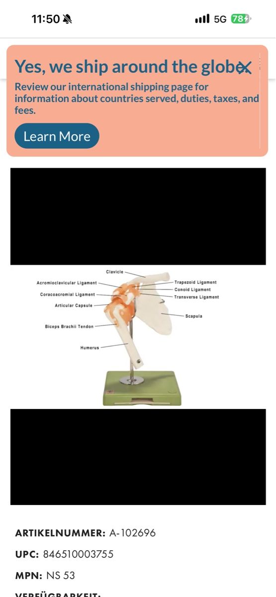 Attrezzature mediche: Funktionsmodell Knie | Schulter  – Usato da Orpund venduto da Rhodes0 7