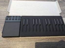 Roli Seaboard+ Lightpad+ Loop Blocks 