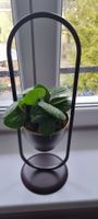 🌿 Süsses Pflänzli im Topf mit Gestell 🌿