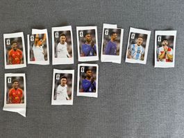 Coca Cola Panini WM 2026 im Set