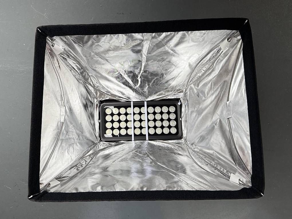 Lampade: Softbox zu Cameo Zenit W600, Snapbag – Usato da Rüti ZH venduto da Philippek 1