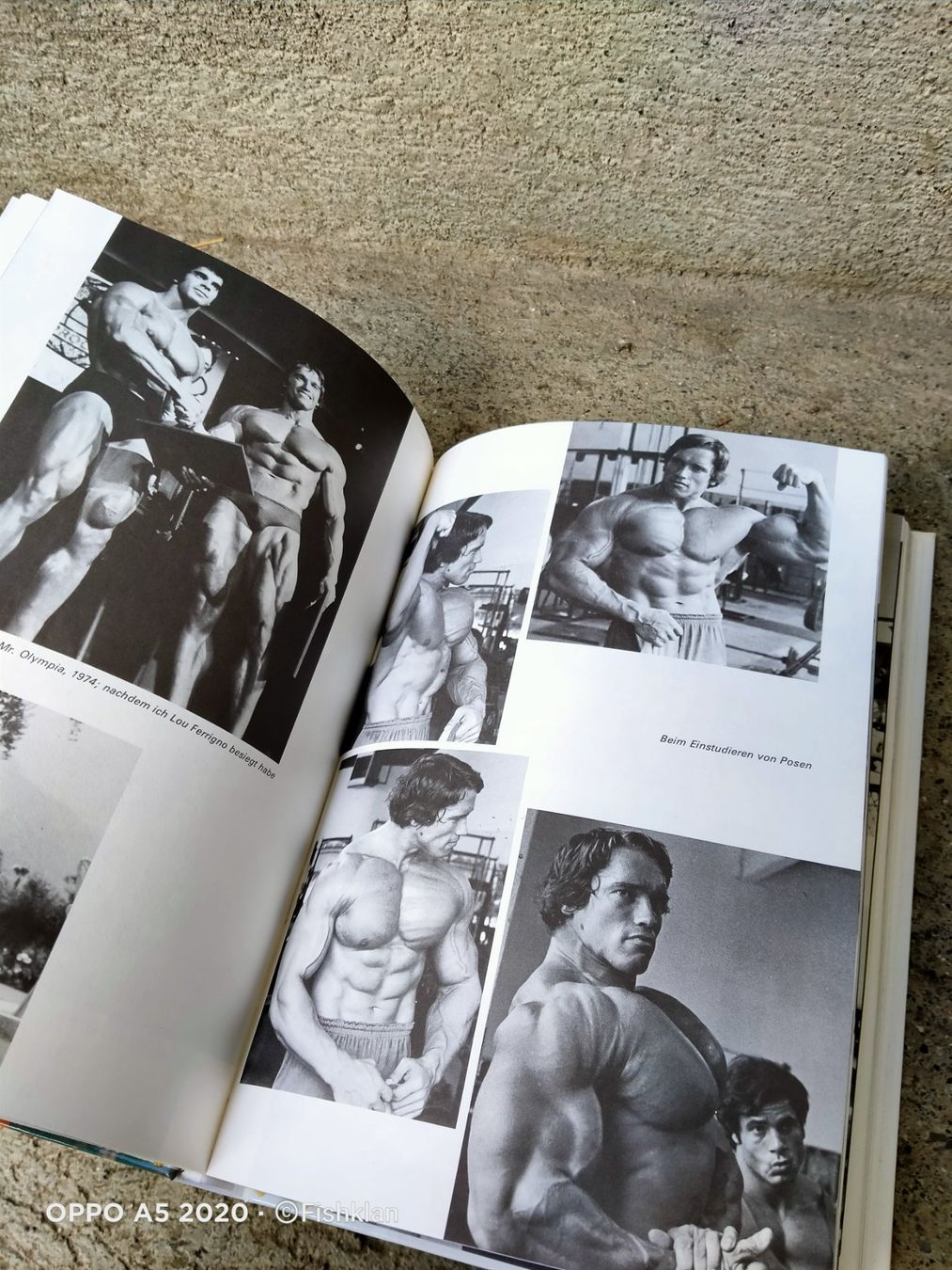 Libri: Schwarzenegger, Karierre eines Bodybuilders / Räumung – Usato da Küssnacht am Rigi venduto da WorthPoint 2