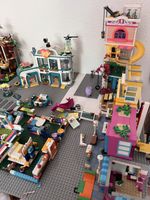 Lego Friends Set Sammlung mit vielen Figuren gebraucht