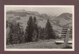 DEGERSHEIM - Ausblick vom Kreuz - 1962
