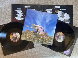 Sir Sly – The Rise & Fall Of Loverboy / 2 LPs