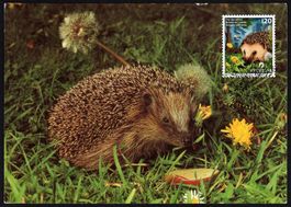 Maximumkarte Tier des Jahres 2026 - Igel