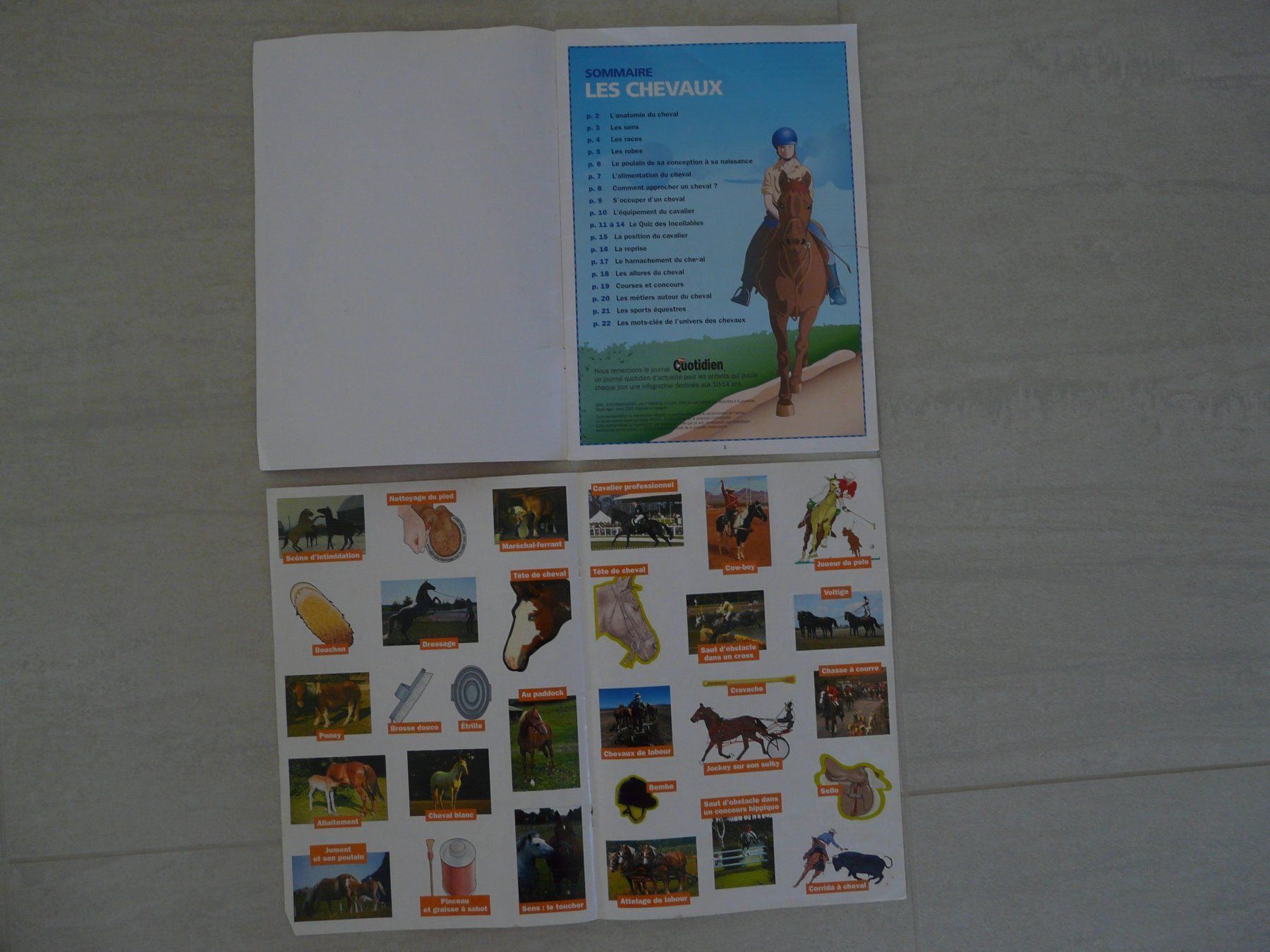Libri: Les chevaux Docs des Incollables – Usato da ERLINSBACH venduto da doudouce 2