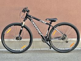 Cannondale  Mountainbike 29 Zoll