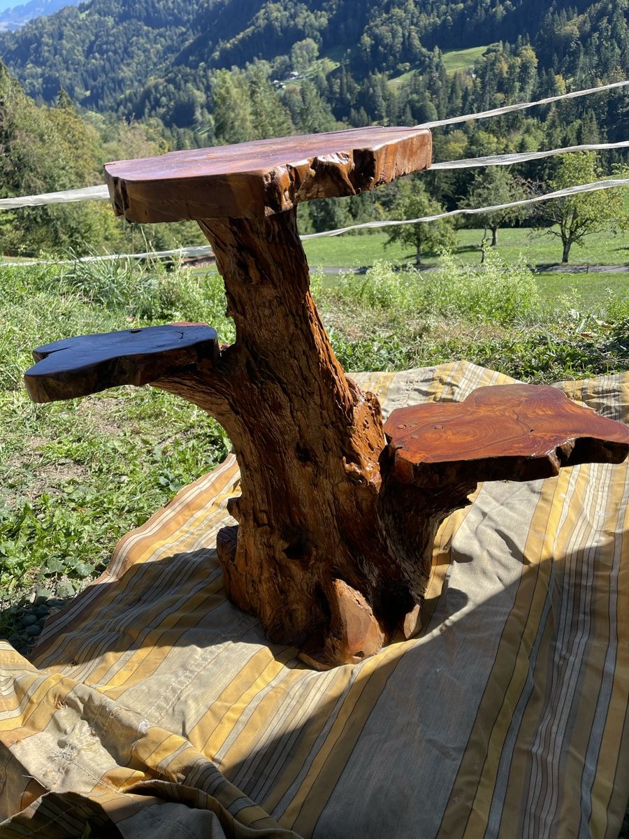 Autres articles pour la maison: Blumenständer Wurzelholz – D'occasion à Fahrni b. Thun par ams_56jv