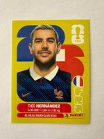 Panini-Sticker FRA3 - Hernandez