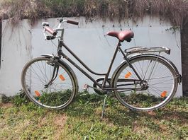 Kult Damenfahrrad Simplon