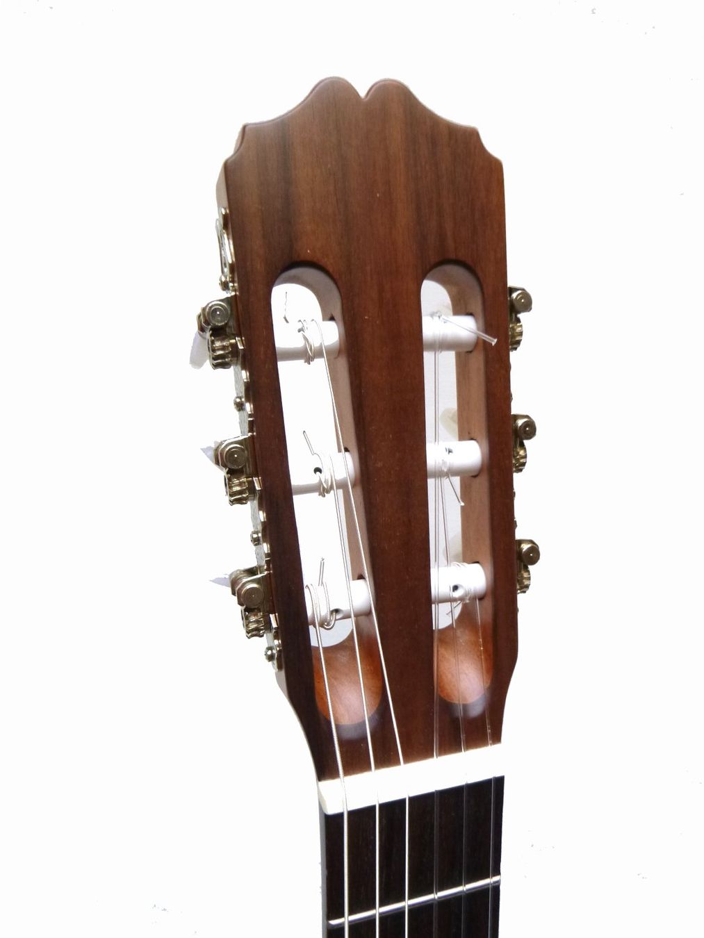 Strumenti musicali: ESPALA C-5/S – Usato da Schaffhausen venduto da Saitensprung_SH 3