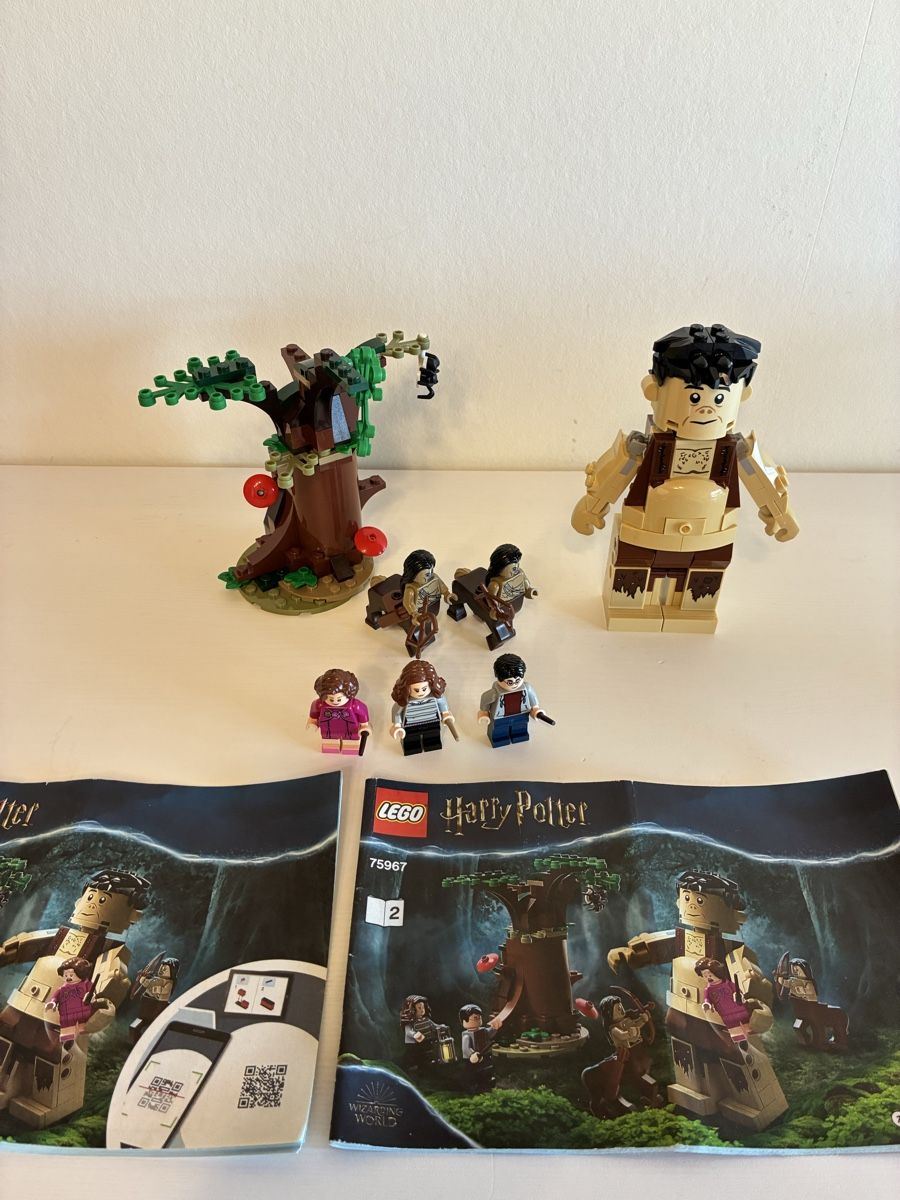 Lego Jeux de construction: Lego Harry Potter 75967 – D'occasion à Speicher par spla03