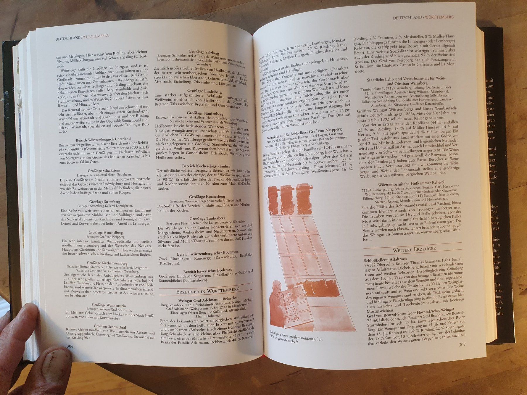 Libri: Der grossen Johnson Hallwag – Usato da Zürich venduto da loosebone 5