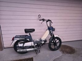 Cilo Wildcat 
