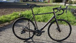 Canyon Endurace AL Disc Rennvelo Rennrad Road Bike Gr. L