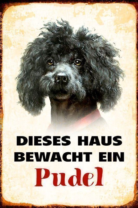 Schilder: Blechschild-PUDEL-DIESES HAUS BEWACHT – Neu und originalverpackt aus Rupperswil von big-one-sale