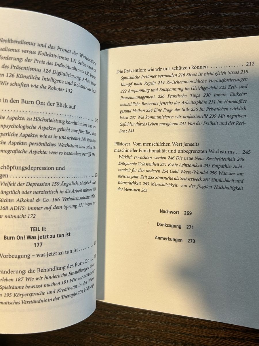 Libri: Burn on - immer kurz vorm burn out – Usato da Arbon venduto da Bobbyx777 3