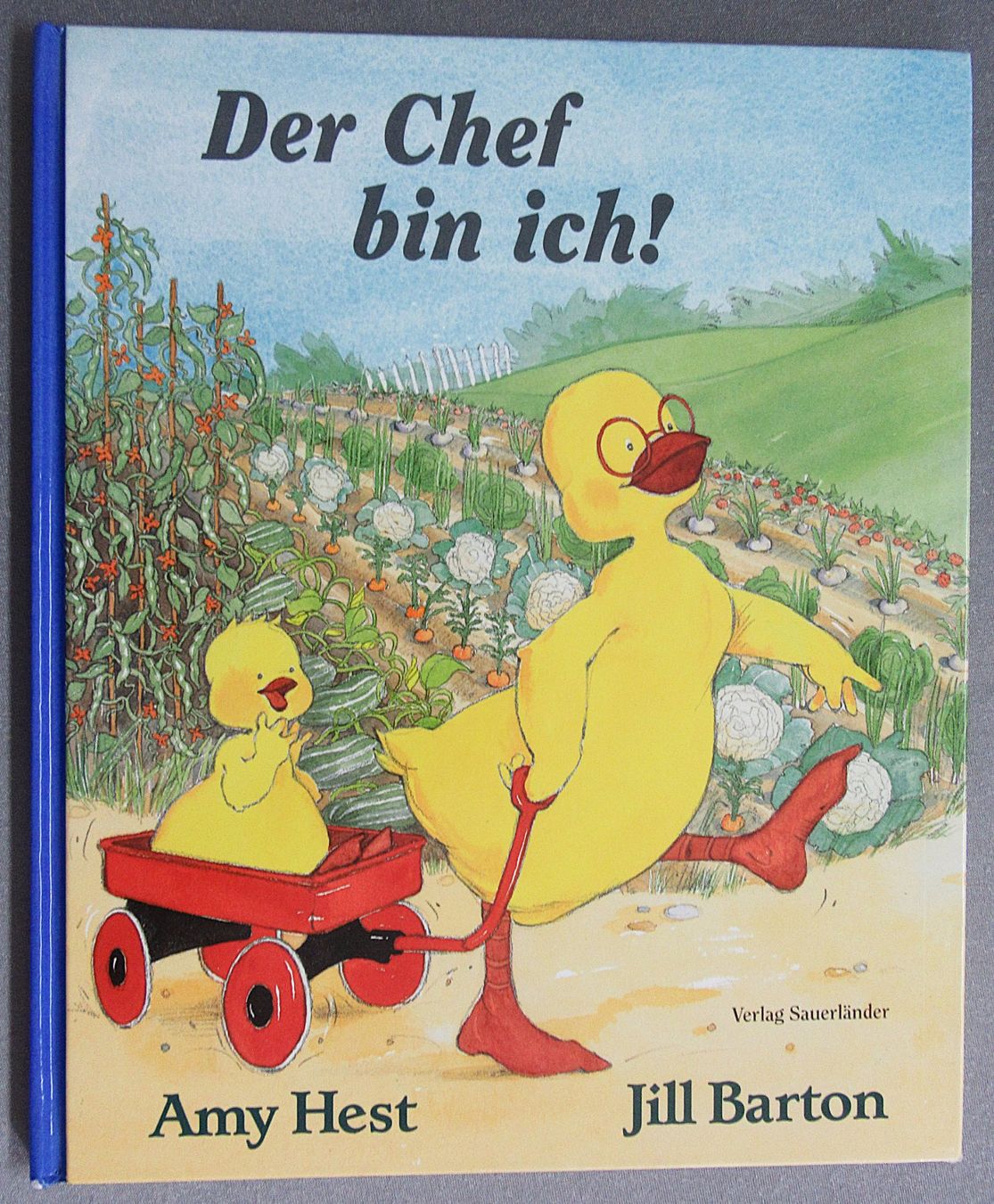 Libri: Der Chef bin ich ! - Bilderbuch von Amy Hest – Usato da Auenstein venduto da Padabimbim