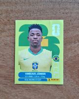 Panini Vinícius Júnior BRA 14