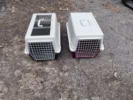Transportbox Hunde Katzen 2 Stck ,guter Zustand (40)