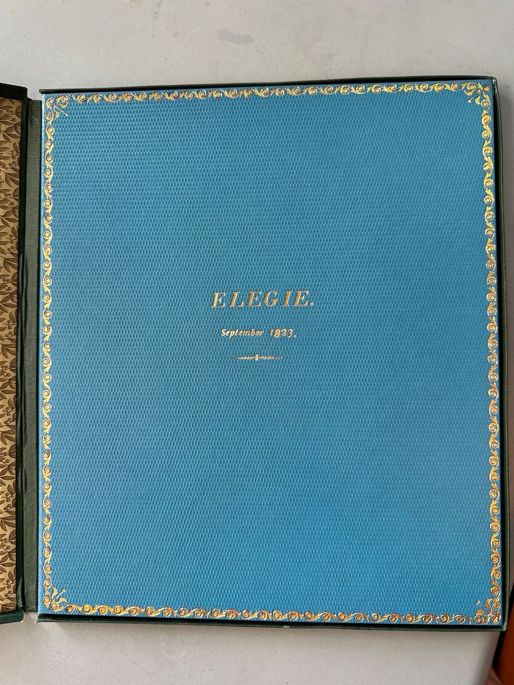Libri: 11 Schriften der Goethe-Gesellschaft – Usato da Zürich venduto da allp 1