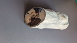 Versteinertes Holz L: 115mm d: 50mm
