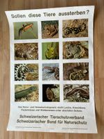 Sollen diese Tiere aussterben?