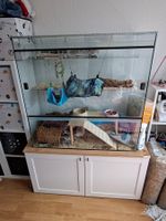 Nagerkäfig Glas 100×100×50 cm Mit unterschrank