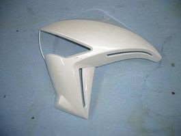 Kawasaki ER-6n / 2011 Kühlerabdeckung li