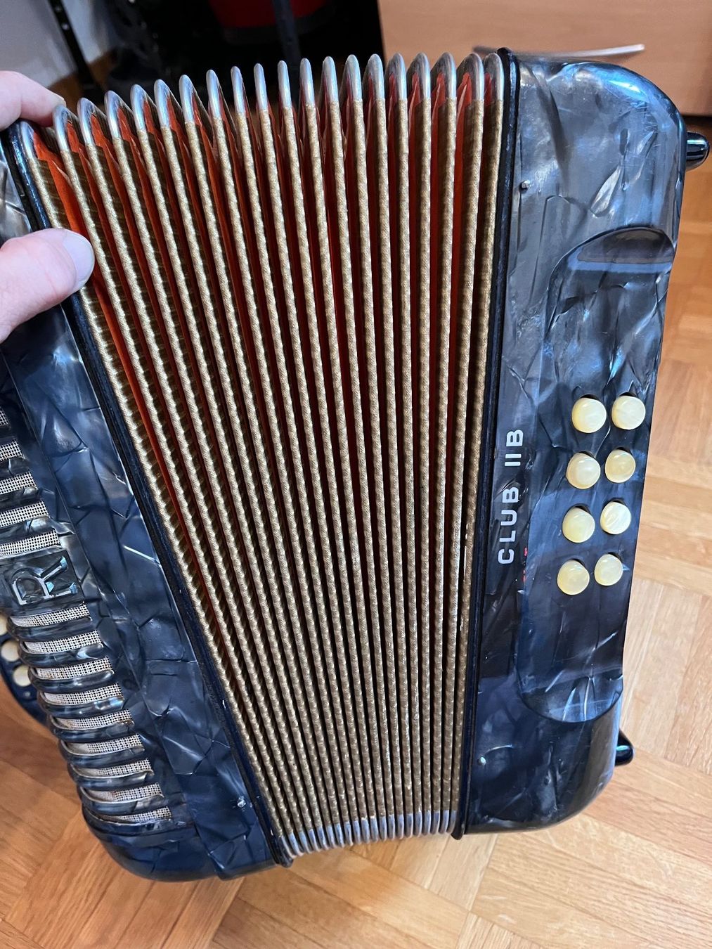 Strumenti musicali: Hohner Handorgel Akkordeon – Usato da Küttigen venduto da Christina.liechti 1