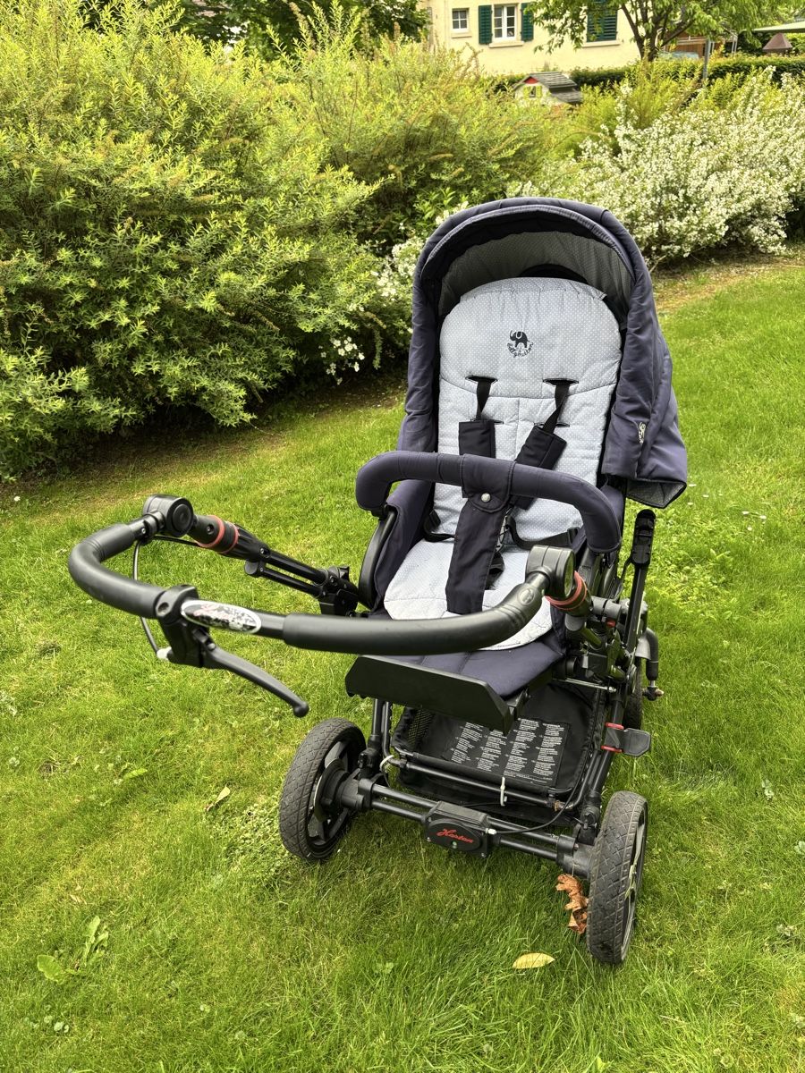 Hartan Carrozzine: Kinderwagen Hartan Topline S – Usato da Uster venduto da chelbi 2