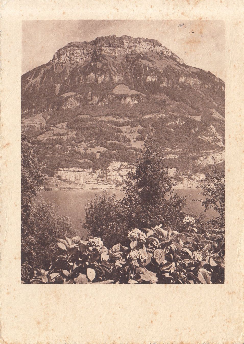 Ansichtskarten: Fronalpstock 1941 – Gebraucht aus Bürglen TG von StampGraf