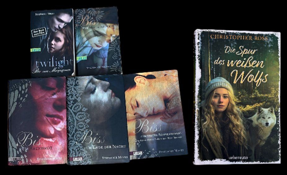 Bücher: 5. Fantasy – Gebraucht aus Luzern von rodtegg01