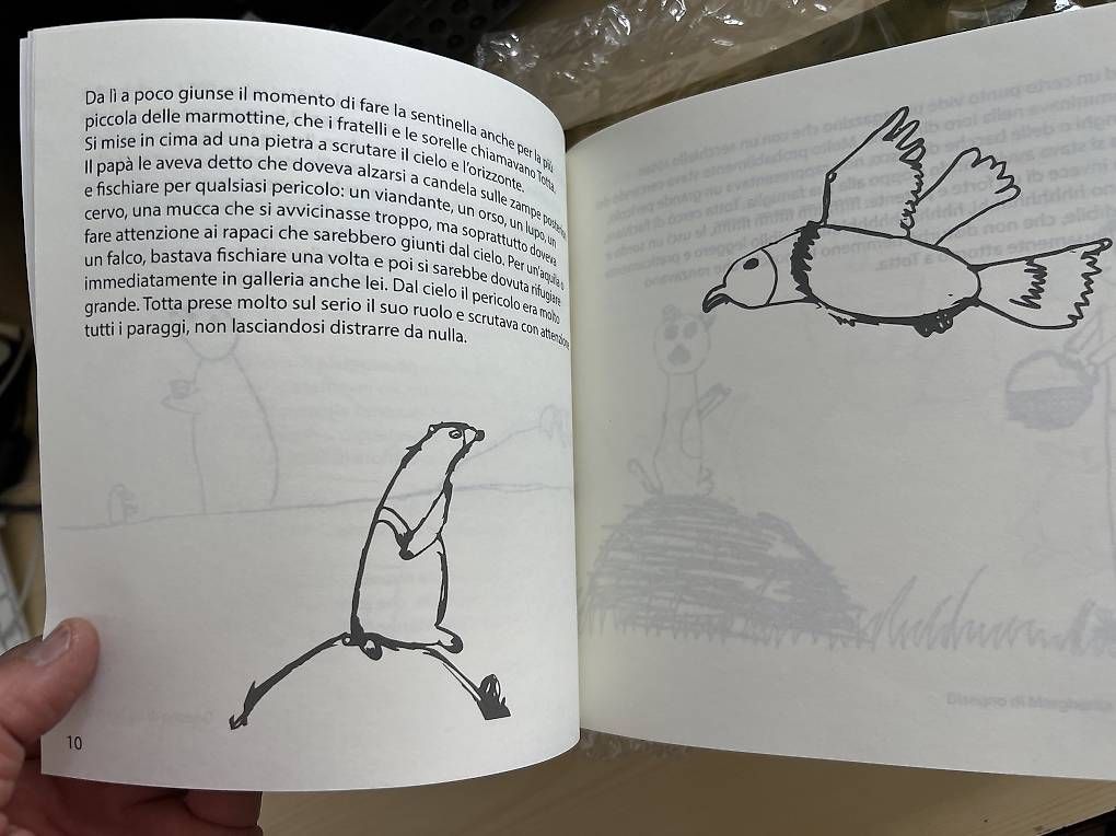 Libri: Totta di Margherita e Vito Robbiani – Nuovo e nell'imballaggio originale da Cadro venduto da vitorobbiani 4