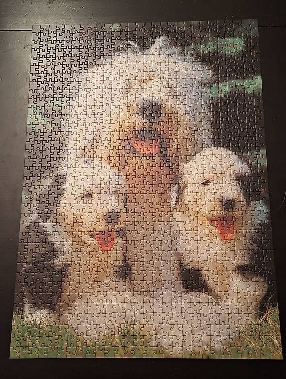 Puzzle: Hundepuzzle Ravensburger 1000 Teile – Usato da Kriens venduto da Red_Sparrow 1