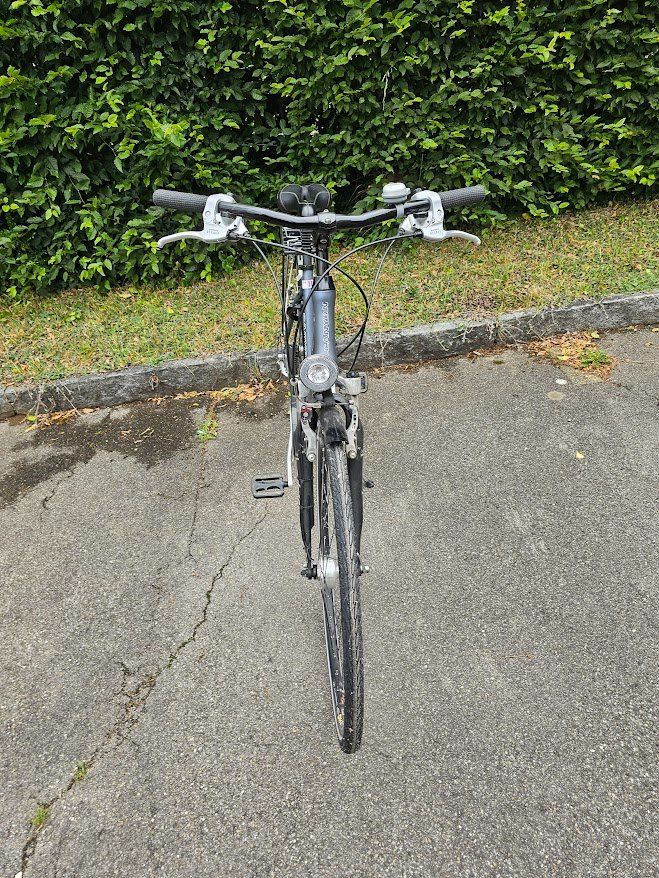 Canyon Biciclette: Zu Verkaufen – Usato da Embrach venduto da dol-polaris 2