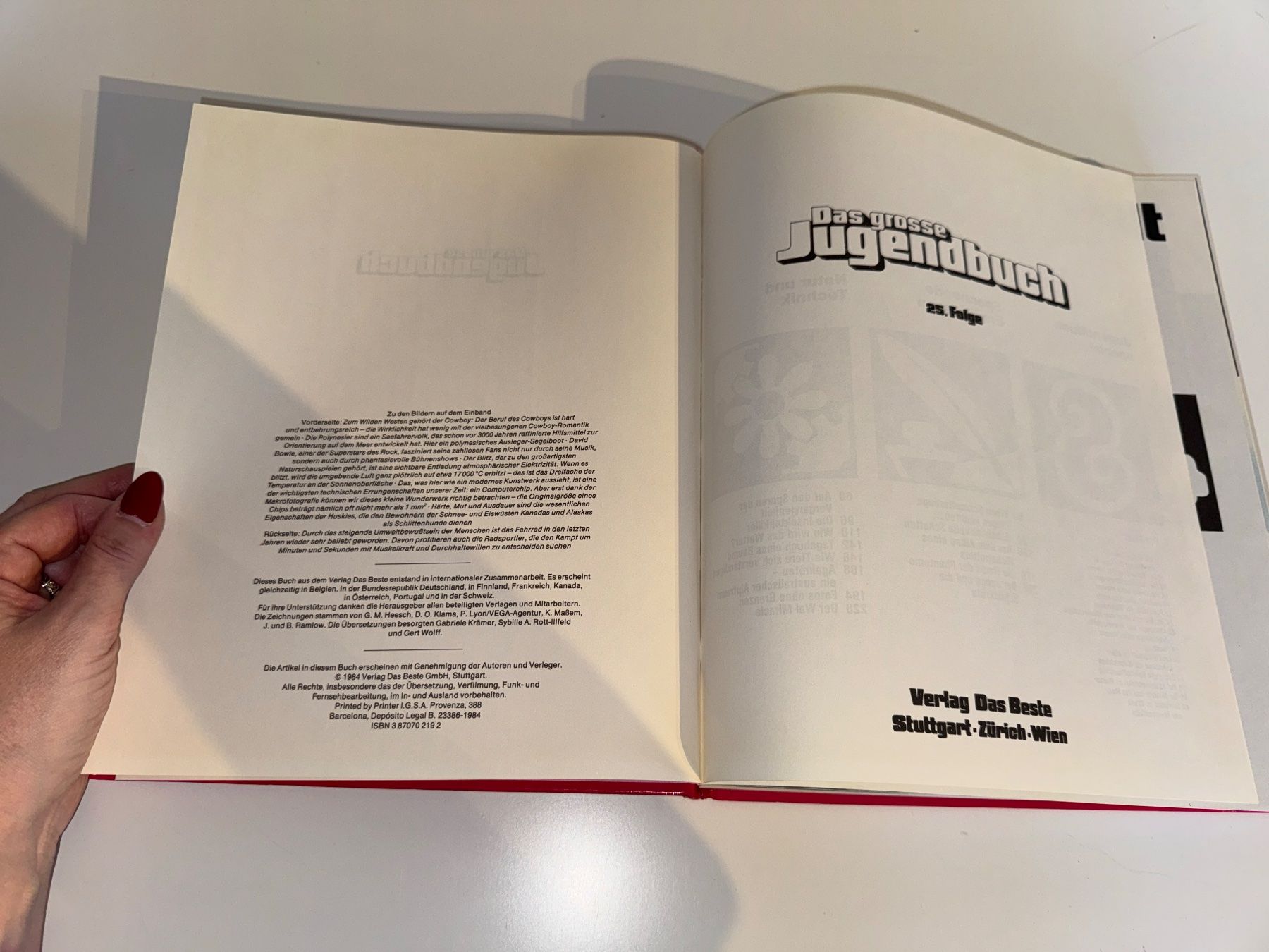 Libri: BUCH: Das grosse Jugendbuch, 26te Folge – Usato da Grosswangen venduto da Second_hand_paradise 1