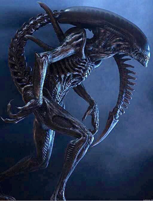Costumi: Original Alien Kostüm Teil ‚Alien vs Predator" Giger – Usato da Schlieren venduto da Moviepropde 4