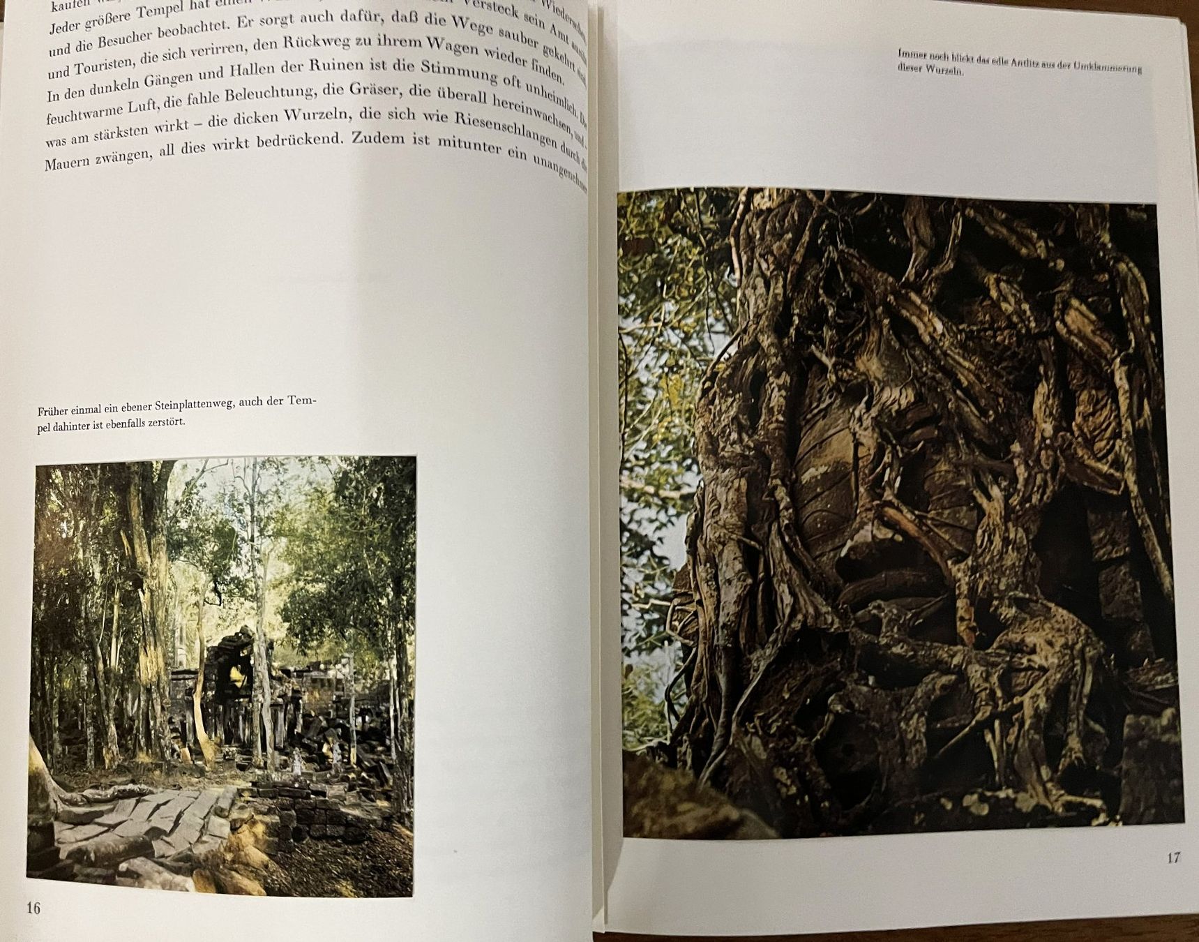 Libri: Silva Verlag, Angkor , 1965 – Usato da Oftringen venduto da Vucki 6
