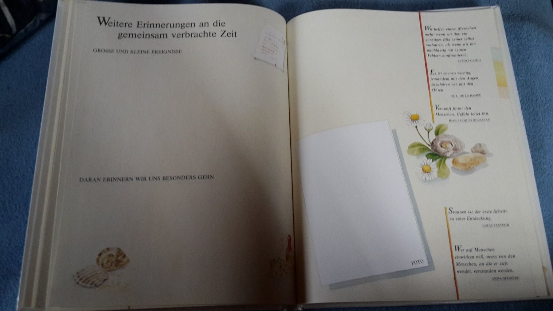Alben: Album Unser Enkelkind – Neu und originalverpackt aus Schwarzenburg von Flamingo07 2