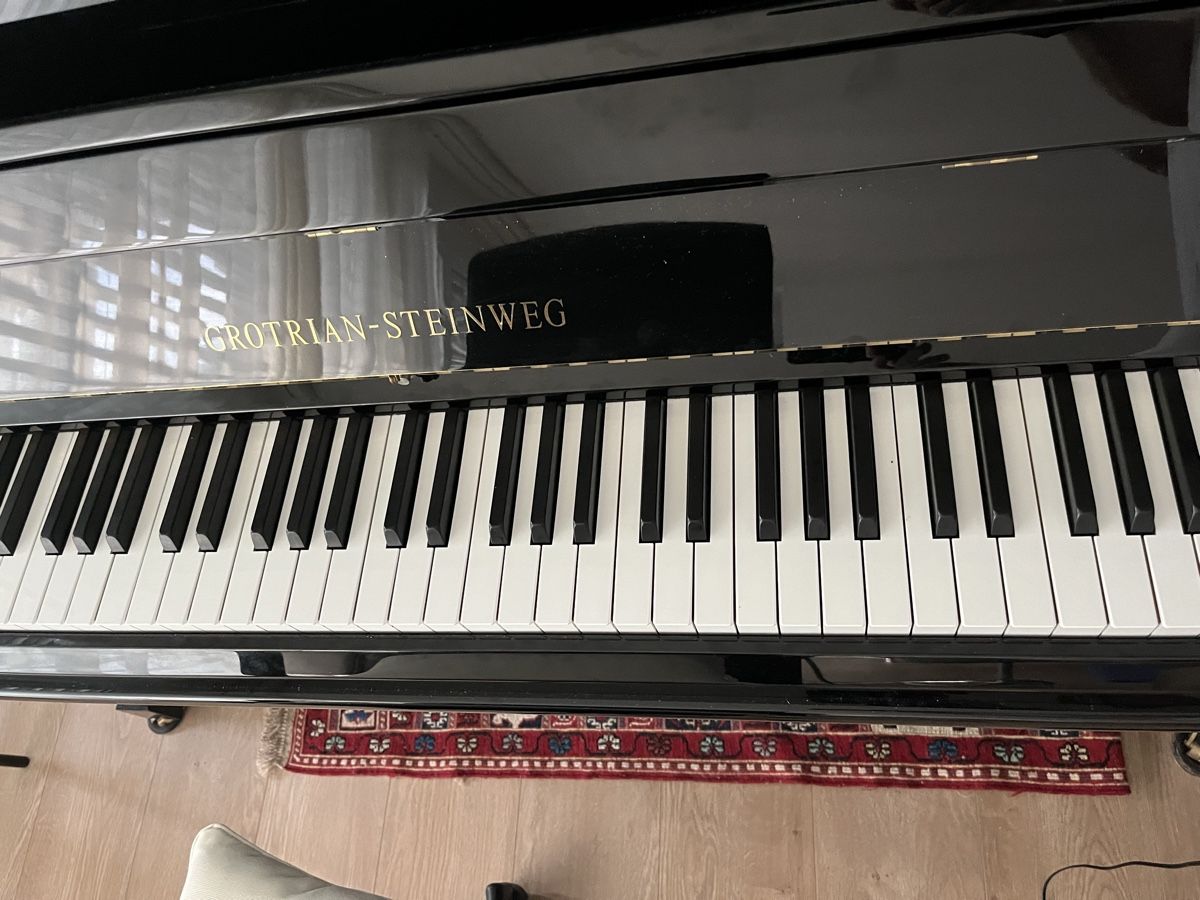 Steinway Musikinstrumente: Grotrian-Steinweg G124 Piano Yamaha Silent Function – Gebraucht aus Lachen SZ von aba_9vg2 6