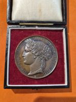 Medaille, Ausstellung Bern 1895 Landwirtschaft Forst & Fisch