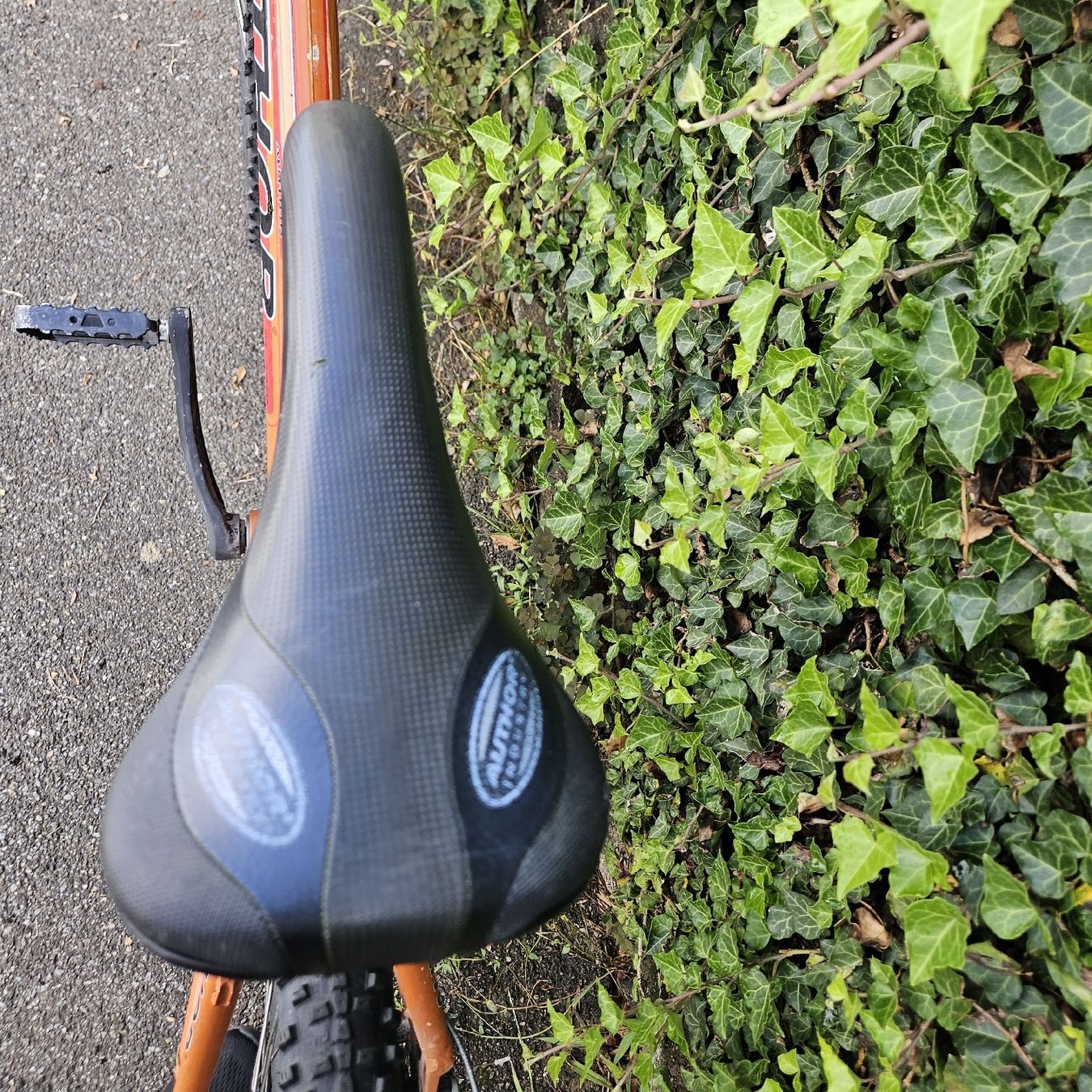 Biciclette: Mountainbike – Usato da Herrliberg venduto da daki0017 3