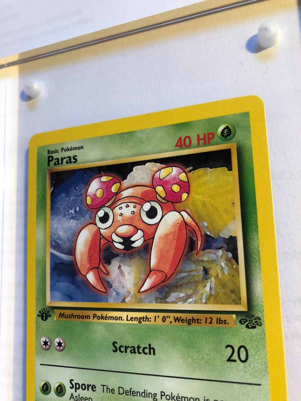 Carte collezionabili: Paras 1st Jungle - MINT - ab 1.- – Usato da Giubiasco venduto da dan_pr8b 3