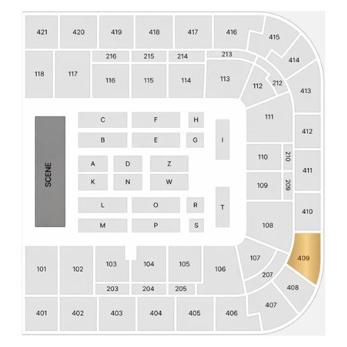 Biglietti: Céline Dion Tickets - Samstag 12.09.2026 - Block 409 – Nuovo e nell'imballaggio originale da Wohlen AG venduto da OOS-Tickets 1