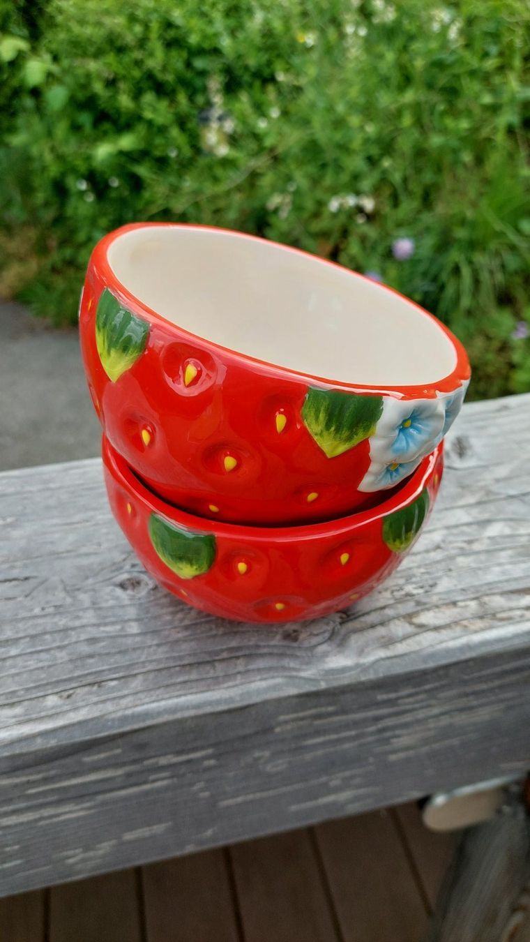 Ciotole: Bol fraise – Nuovo e nell'imballaggio originale da Marsens venduto da carobazar